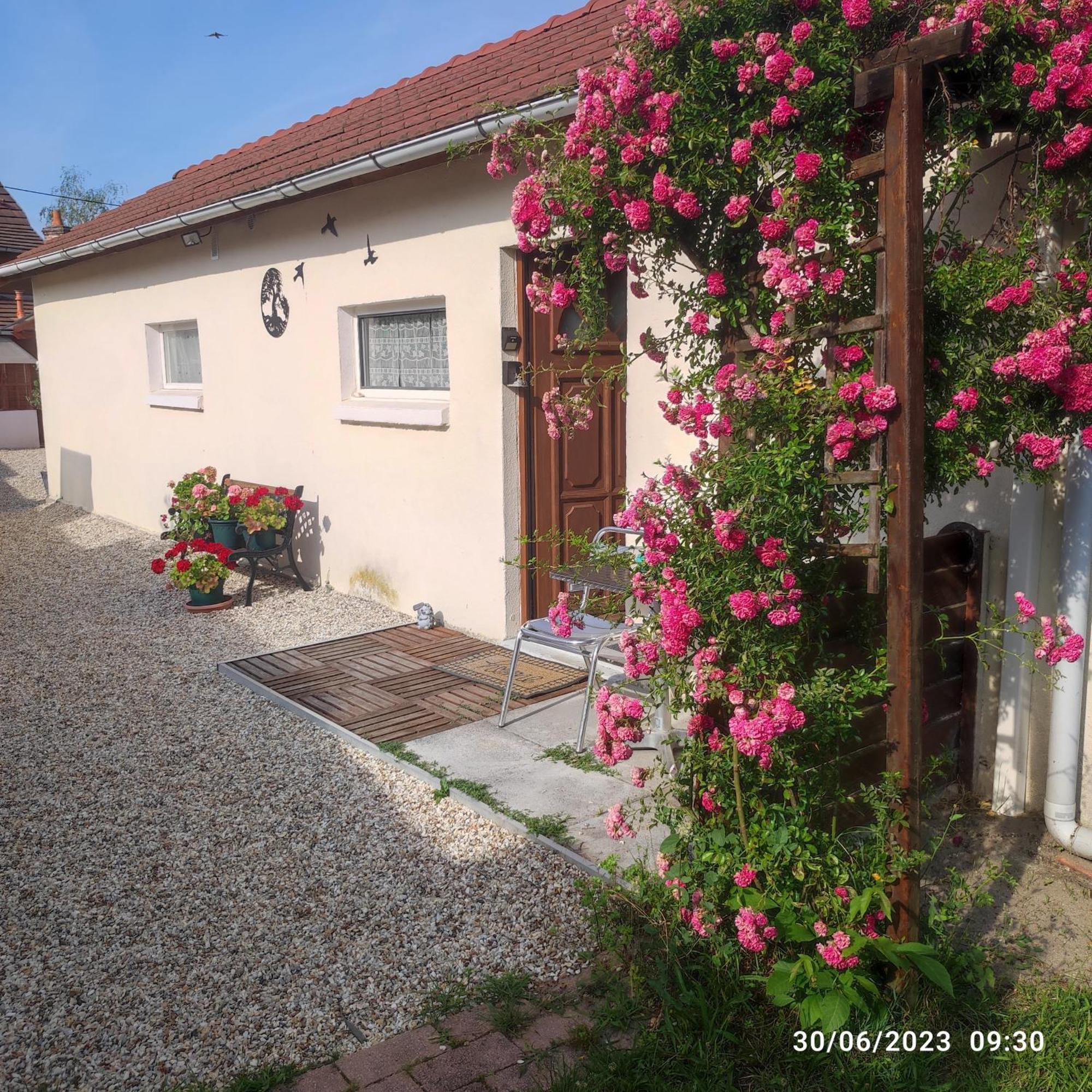 Гостевой дом Tranquillite & Independance Au Coeur De La Sologne Ламот-Бёврон Экстерьер фото